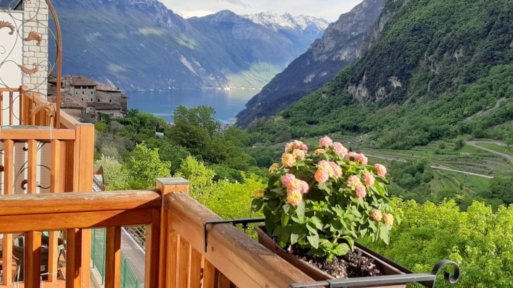 a flower pot on a balcony with a view of mountains at Sweet Residence Tenno in Tenno