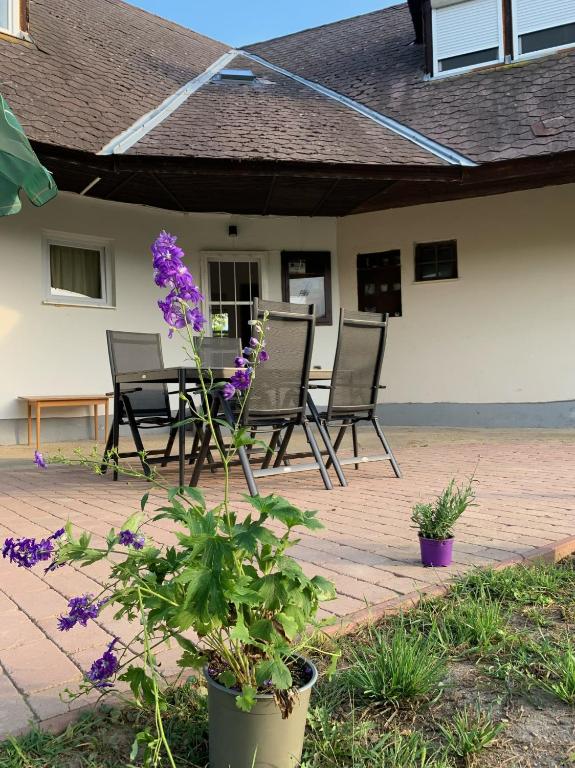 Vonkajšia záhrada v ubytovaní Levendulakert Siófok Apartmanház