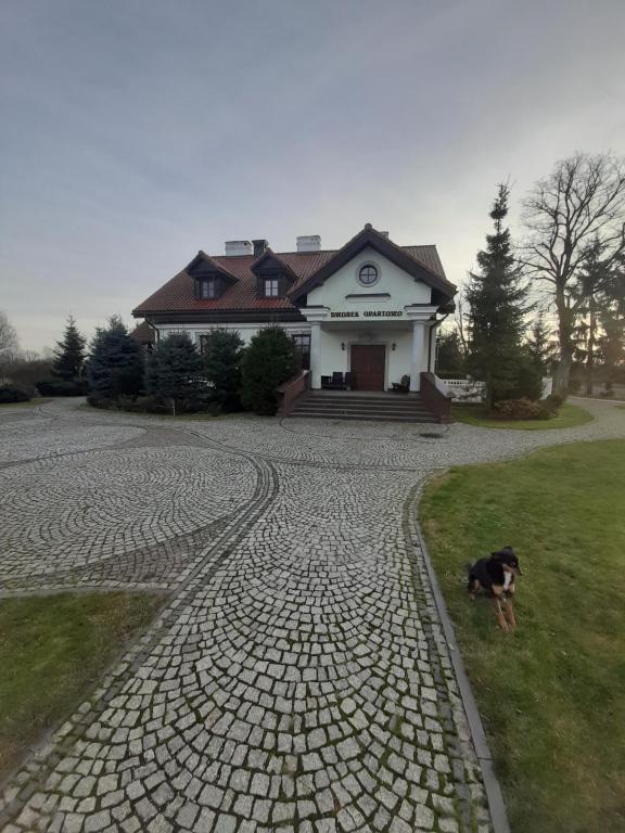 Domácí mazlíčci ubytovaní s hosty v ubytování Dworek Opartowo