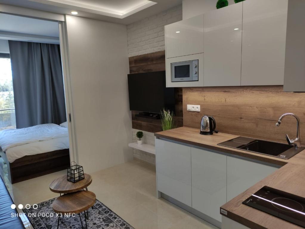 eine Küche mit einem Waschbecken und ein Bett in einem Zimmer in der Unterkunft Armeria Residence Snow in Štrbské Pleso