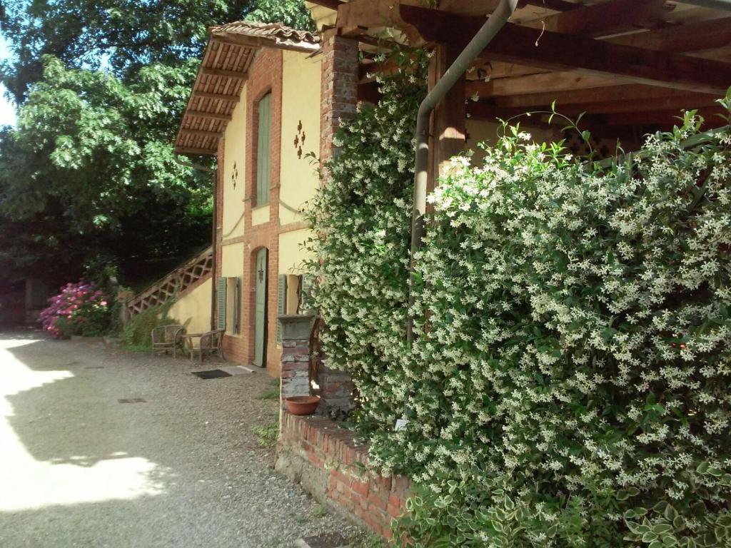 Vonkajšia záhrada v ubytovaní Villa D'Azeglio