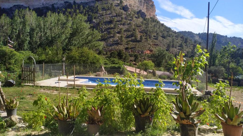 Booking.com: Casas rurales Las Rochas , Alcalá del Júcar ...