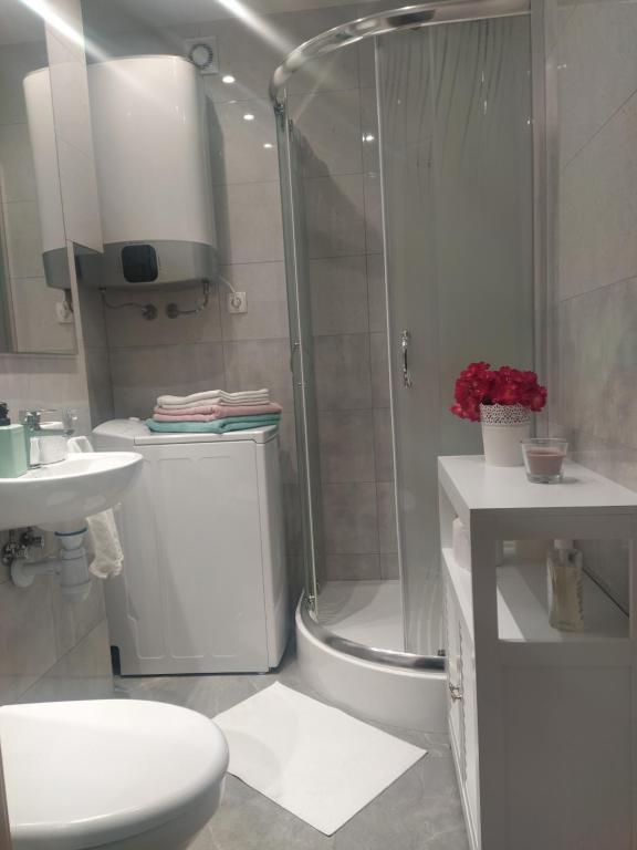 a bathroom with a shower and a toilet and a sink at Apartament Agata in Giżycko