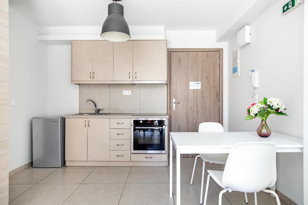 Kuchyňa alebo kuchynka v ubytovaní Supreme C2 Apartment in Syntagma