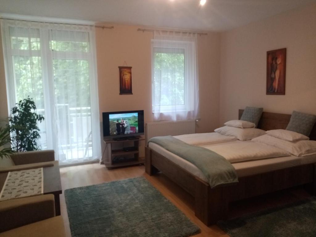 a bedroom with a large bed and a television at Hévíz Lake Apartman in Hévíz