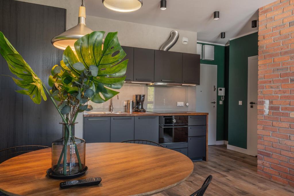 Kuchyňa alebo kuchynka v ubytovaní Apartamenty Homely Place Koziołki - Stary Rynek - Parking