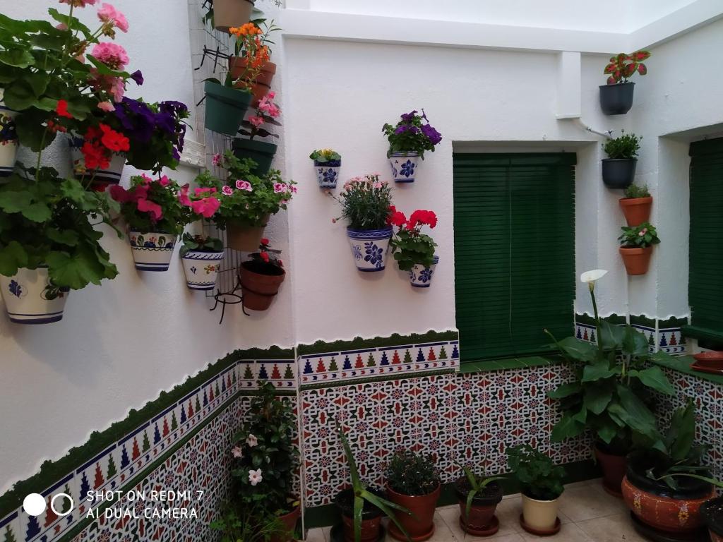 un bâtiment avec des plantes en pot sur le mur dans l'établissement CULTURAS Y COLORES EN ALMAGRO -WIFI alta velocidad, NETFLIX y Parking-, à Almagro