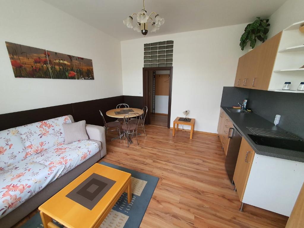Kuchyň nebo kuchyňský kout v ubytování Apartmá na Hané