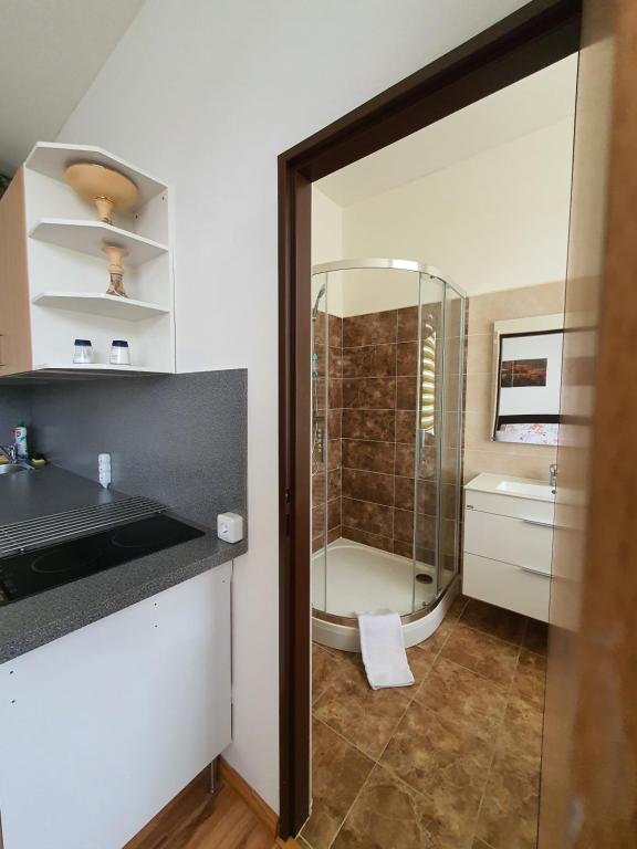 Koupelna v ubytování Apartmá na Hané