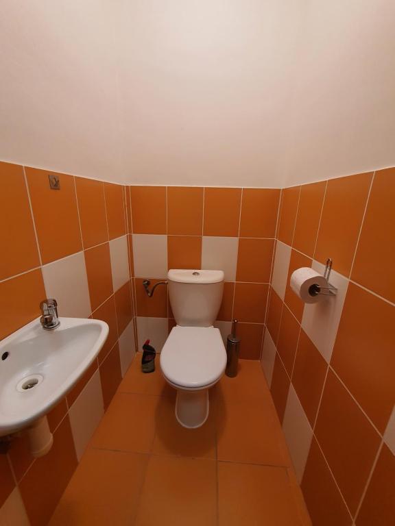 Koupelna v ubytování Apartmá na Hané