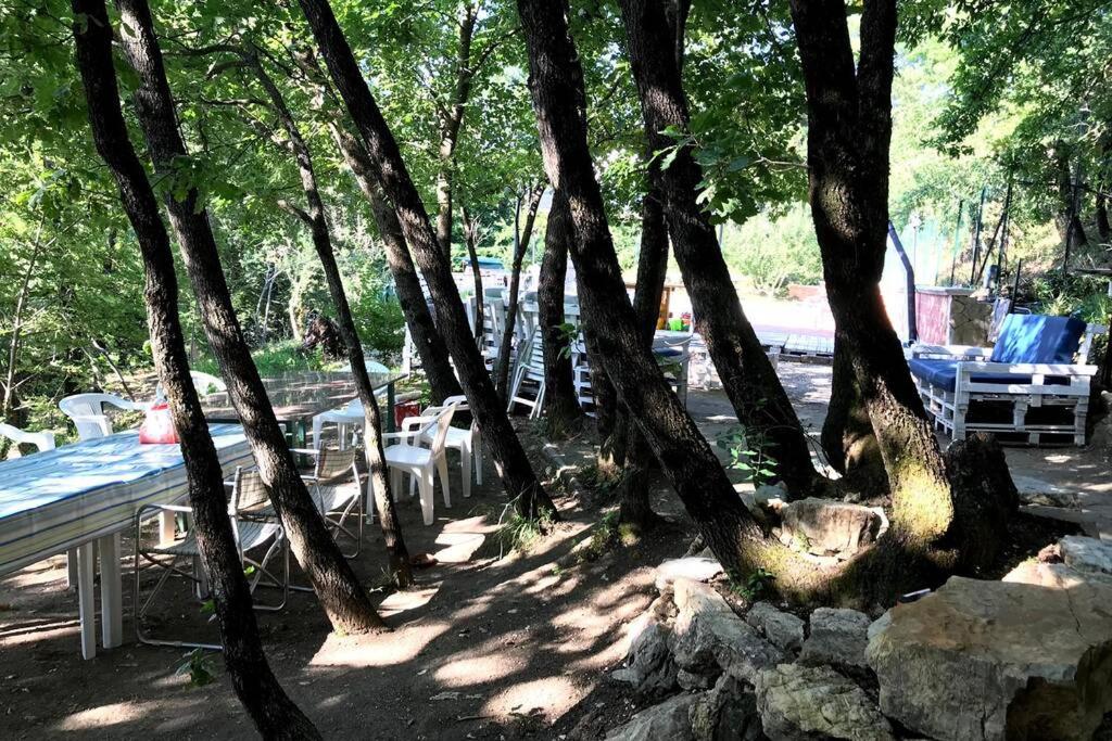 Zdjęcie z galerii obiektu Villa Gioia relax immersi nel verde w mieście Aiello del Sabato
