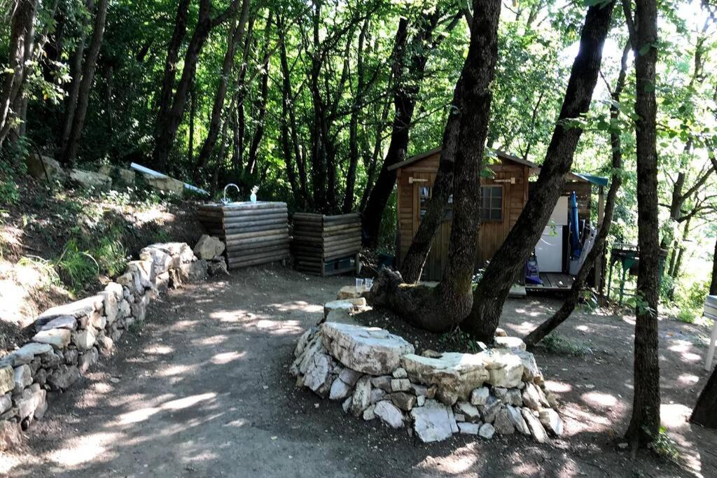 Przyroda w pobliżu tego apartamentu