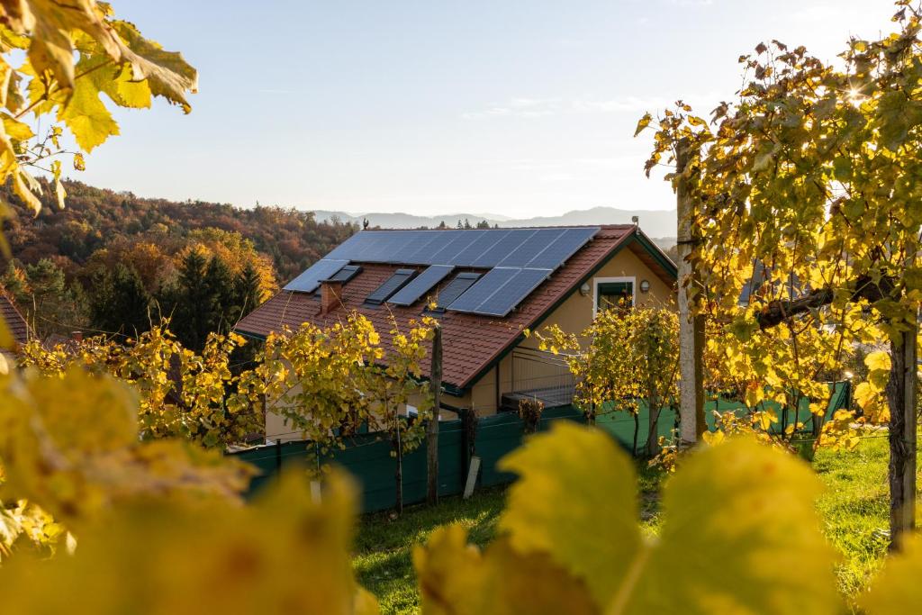 a house with solar panels on the roof at Weinberghaus am Burgstallkogel in Leibnitz