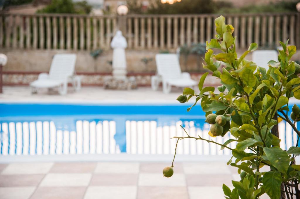 Bazén v ubytování templi la piscina nebo v jeho okolí