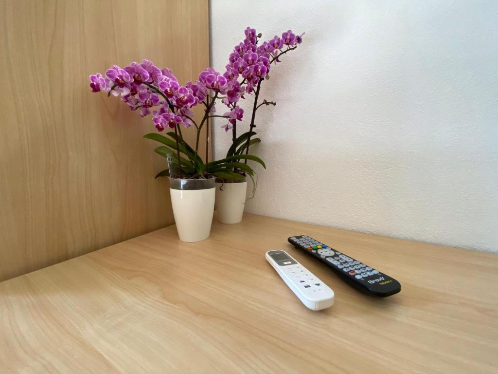 een afstandsbediening en een vaas met paarse bloemen op een tafel bij B&B Petite Maison in Posada