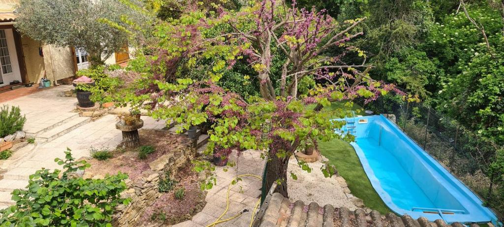 una vista sul giardino con albero e piscina di Chez maman a Bassan