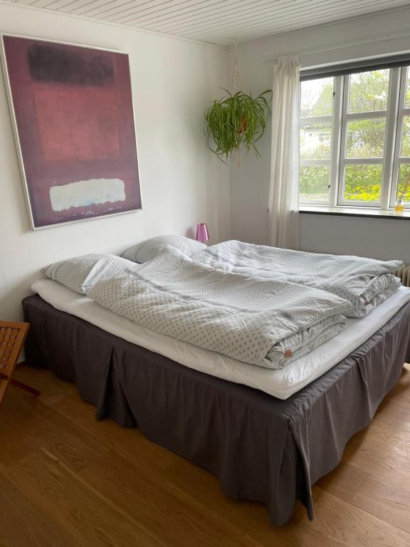 a large bed in a room with two windows at Købmandsgården i Grundfør in Hinnerup