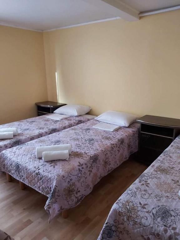 Postel nebo postele na pokoji v ubytování Vila Giruliai