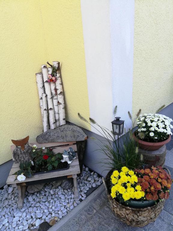 Fotografie z fotogalerie ubytování Haus Ortsblick v destinaci Wagrain