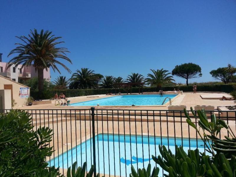 ein großer Pool mit Palmen im Hintergrund in der Unterkunft Rez de jardin + terrasse piscine et accès direct plage (30 mètres !) in Saint-Cyprien