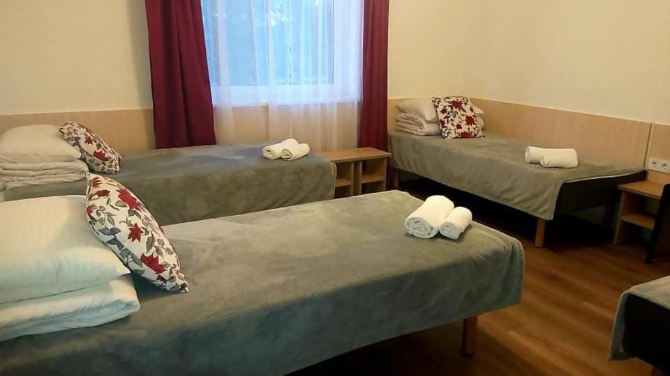 En eller flere senge i et værelse på Vila Giruliai