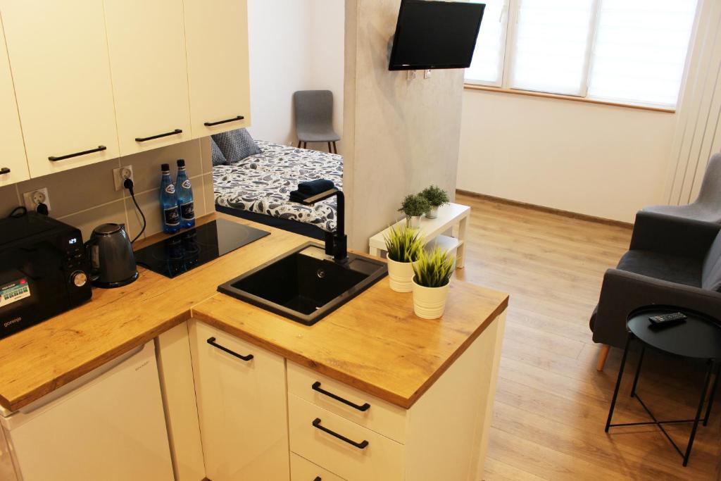 a kitchen with a sink and a couch in a room at Apartament Szczecin Kobalt - Wyzwolenia in Szczecin