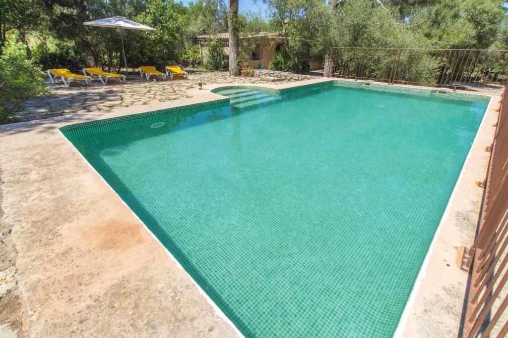 - une piscine d'eau bleu turquoise dans l'établissement Sa Torre II, à Capdepera