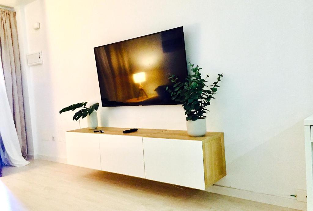 uma televisão num armário branco num quarto com uma planta em Apartment EL Médano Experimental Beach em El Médano
