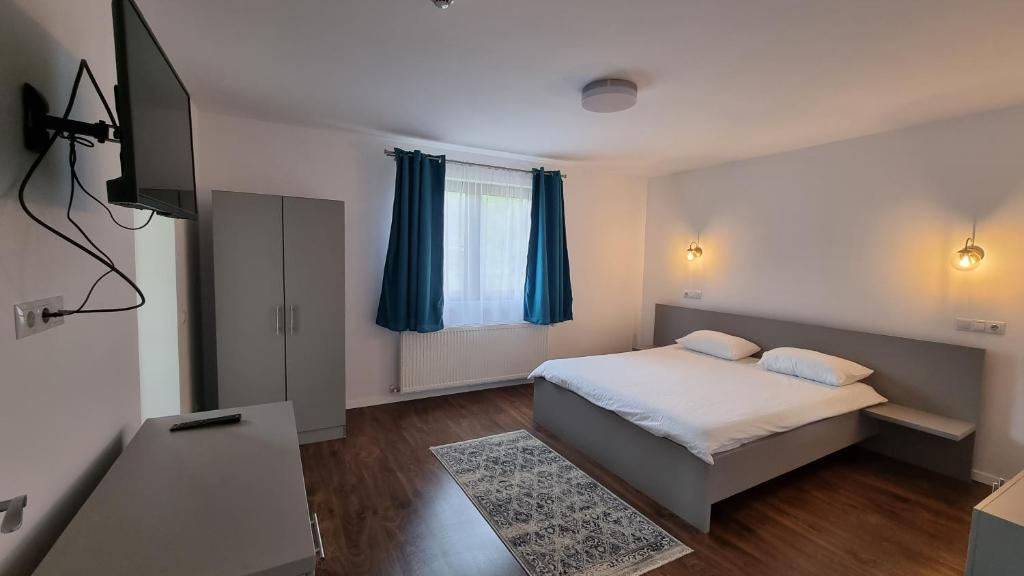 una habitación de hotel con una cama y un televisor en Pensiunea Barsan, en Vişeu de Sus