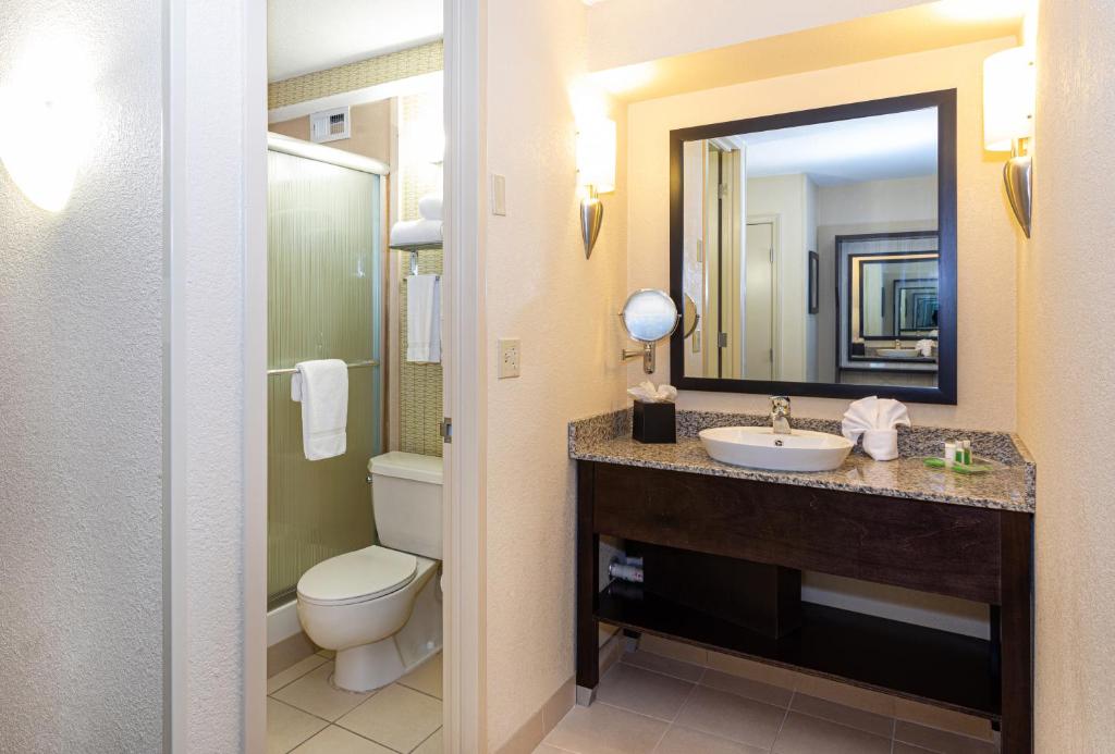 Holiday Inn St. Louis Airport West Earth City by IHG photo