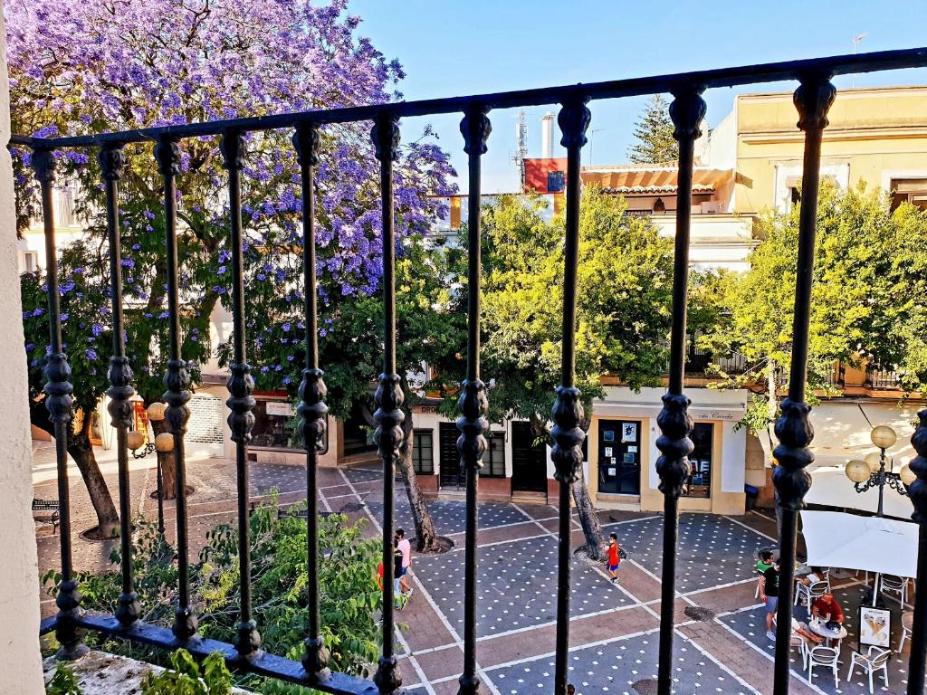vista da una recinzione di un cortile alberato di Sherryflat Senovilla a Jerez de la Frontera