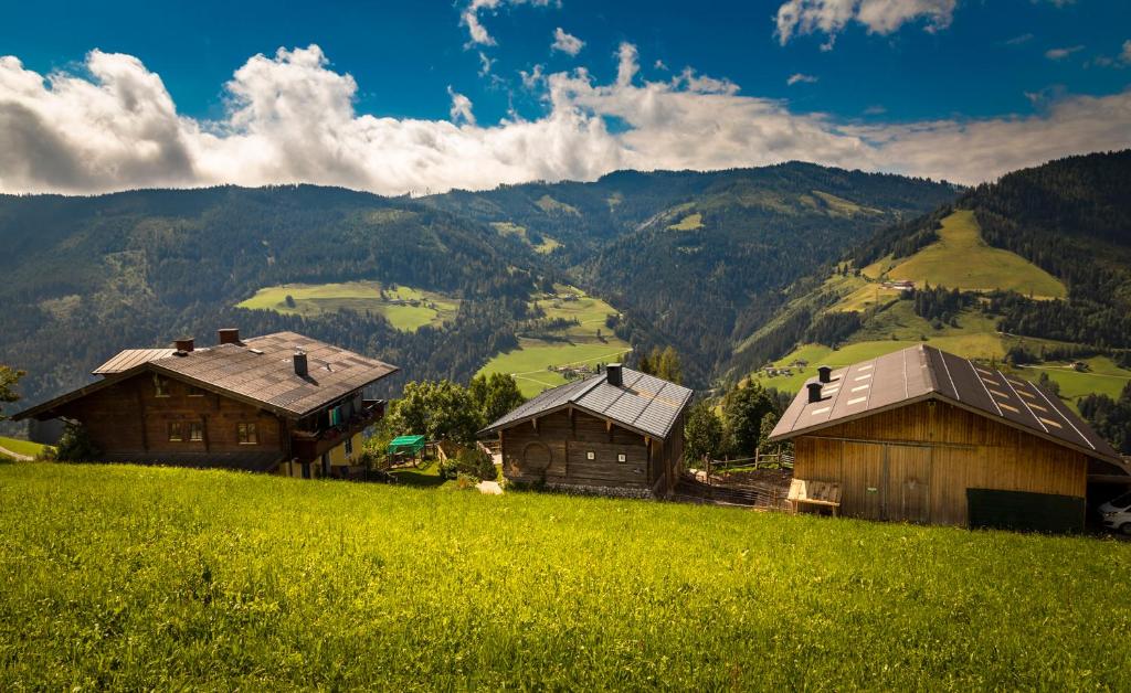 Príroda v okolí apartmánu
