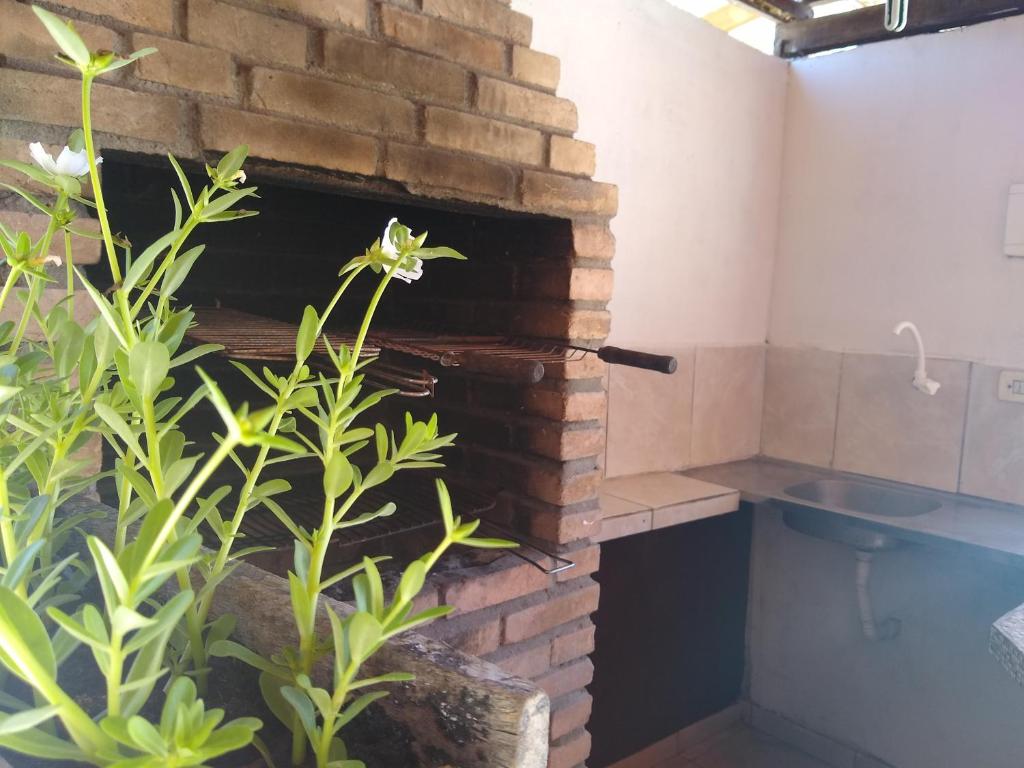 Marupinesia Suites