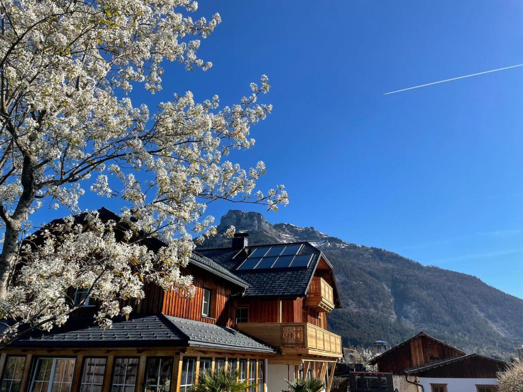 a house with solar panels on it with a tree at Ferienwohnung Flora Altaussee in Altaussee