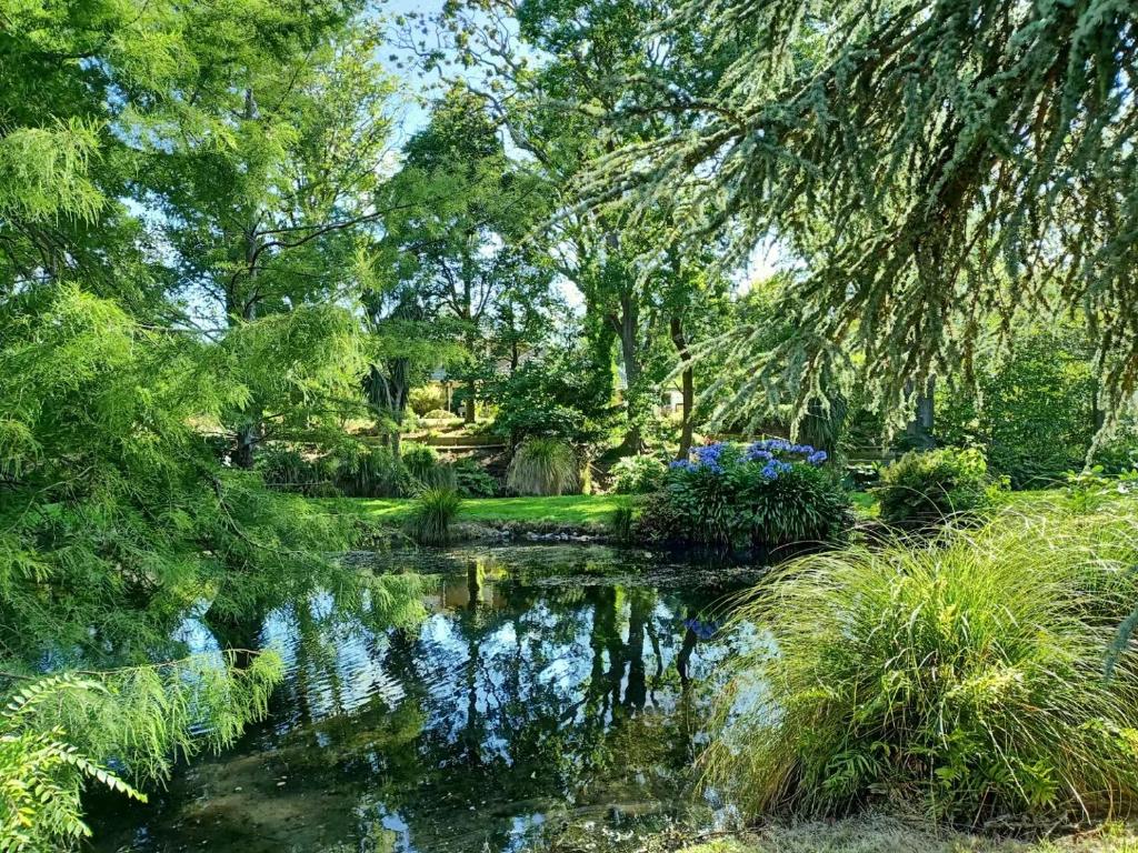 un estanque en un jardín con árboles y flores en Rose & Stream Retreat, en Waikuku