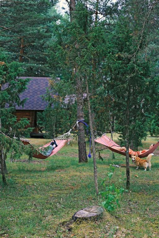 Zahrada ubytování Niidupuu Camping