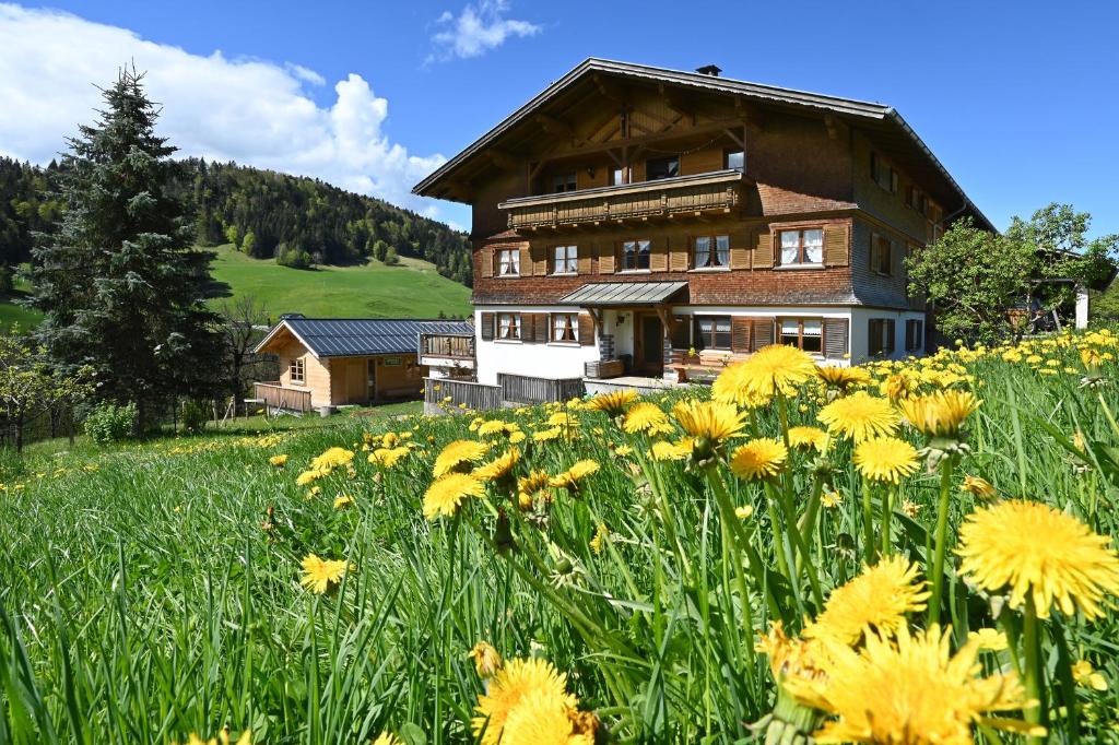 a field of yellow flowers in front of a house at Bauernhof Bilgeri in Hittisau