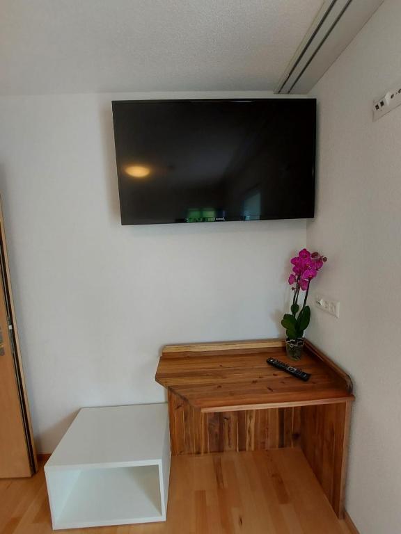 TV a/nebo společenská místnost v ubytování good bed biberist BIBERSOL