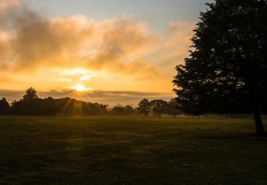 Cornbury Park Boutique Camping