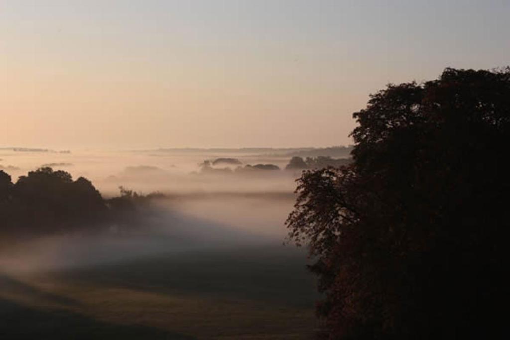 Cornbury Park Boutique Camping