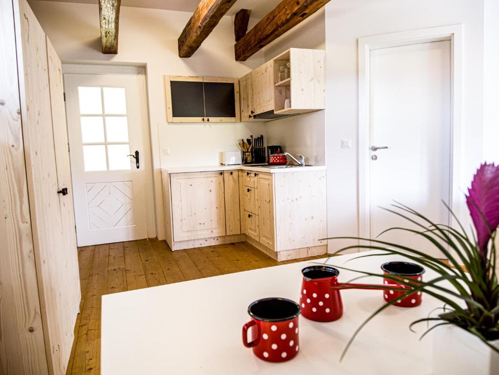 Fotografie z fotogalerie ubytování Apartments Strmol v destinaci Cerklje na Gorenjskem