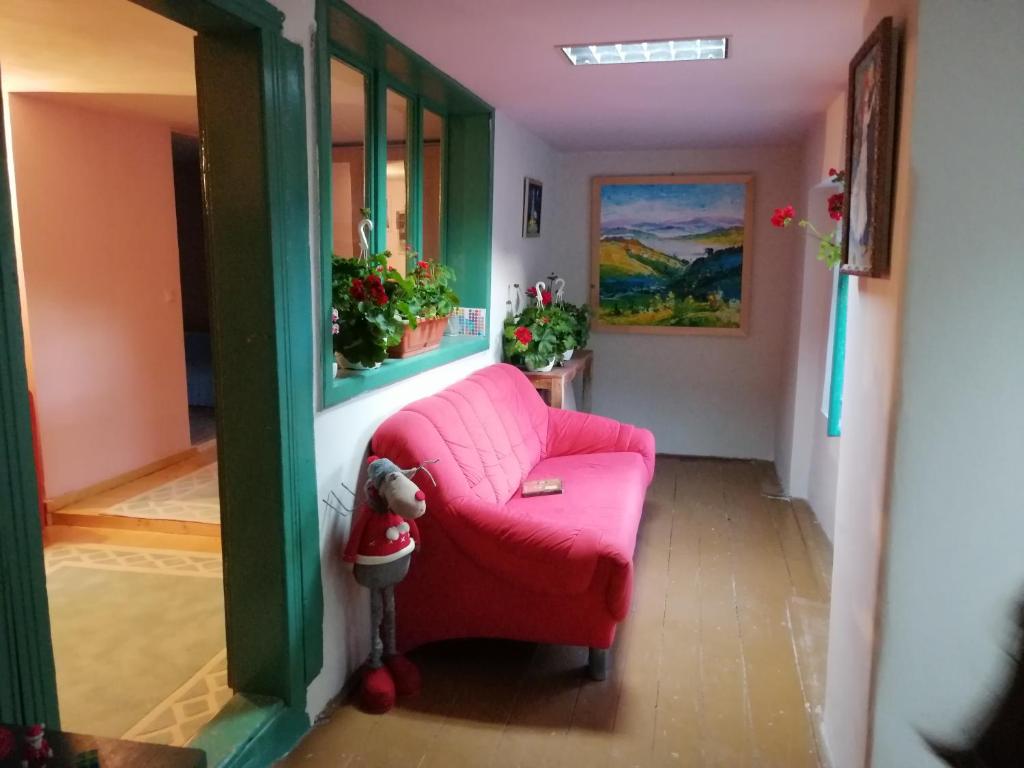 un soggiorno con sedia rosa in camera di GiurgioveANA - cheile Nerei, Garlistei, Carasului a Oraviţa