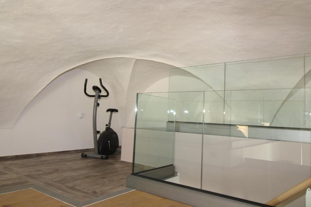 pusty pokój ze szklaną obudową i bieżnią w obiekcie Luxury Suite apartment Angiolieri w Sienie