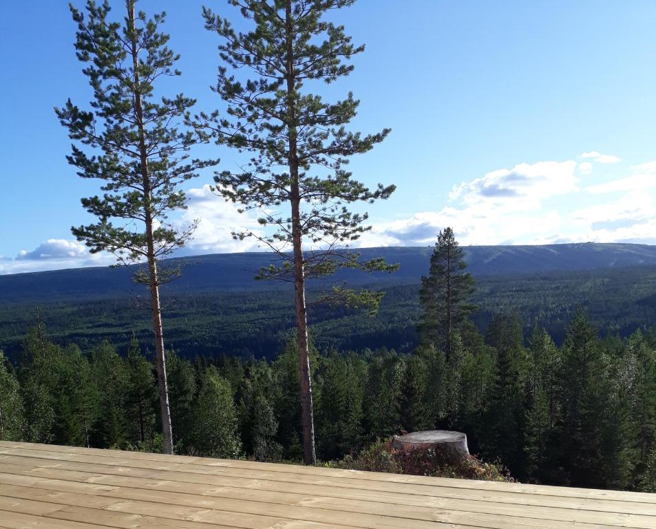 two tall pine trees on top of a wooden deck at Mysig lägenhet med fjällutsikt i Sälen in Sälen