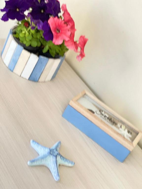 B&B Stella in Centro - 7