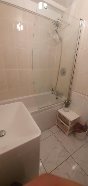 1 bedroom flat close to Clapham Junction station