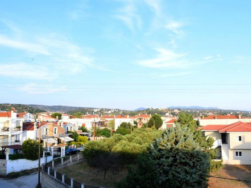 Příroda nedaleko hotelu