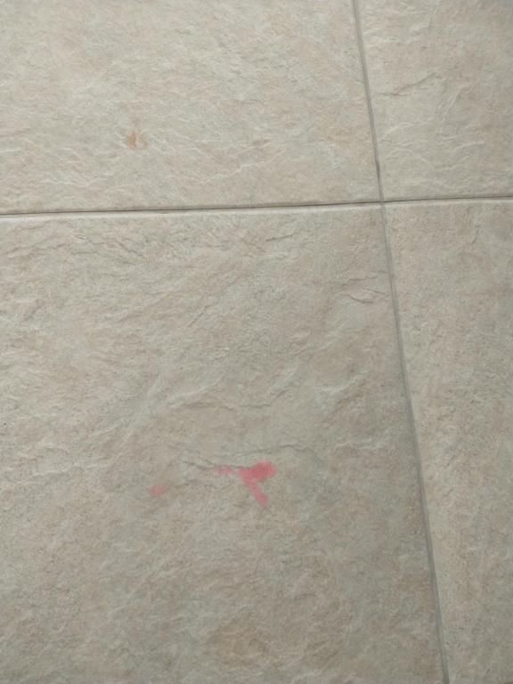  sem nome