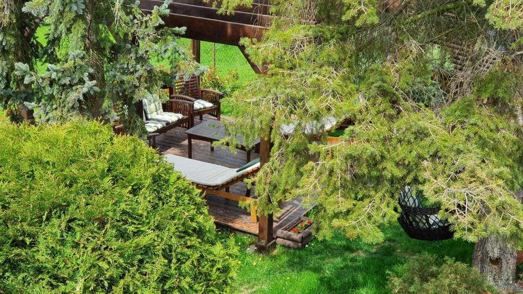 an overhead view of a patio with chairs and trees at Rajski vrt in Vrdnik