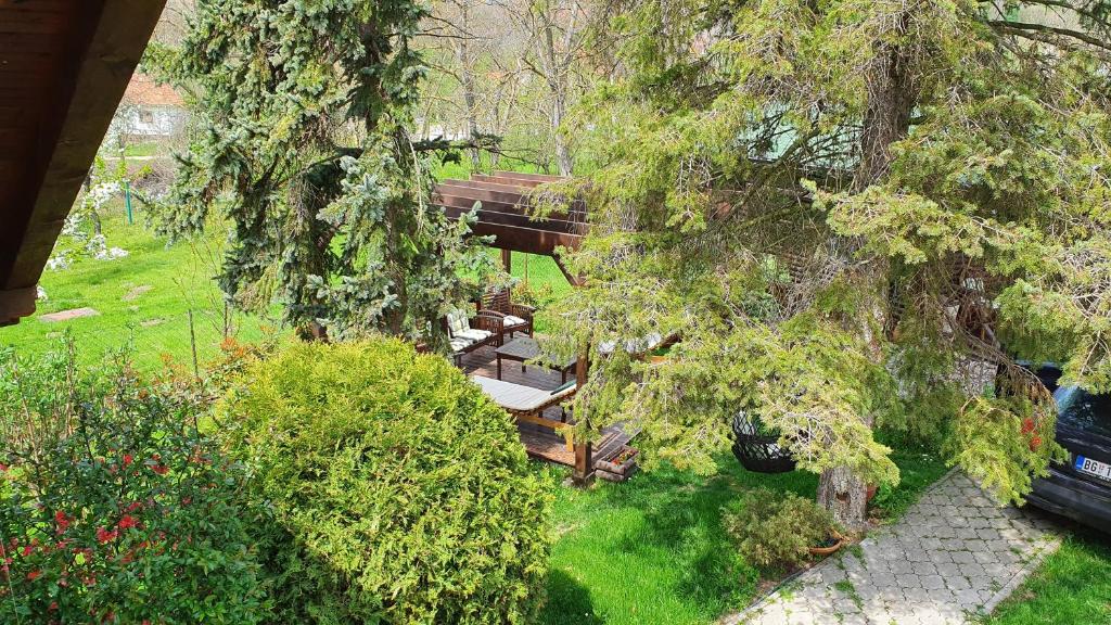 an overhead view of a park with a bench and trees at Rajski vrt in Vrdnik